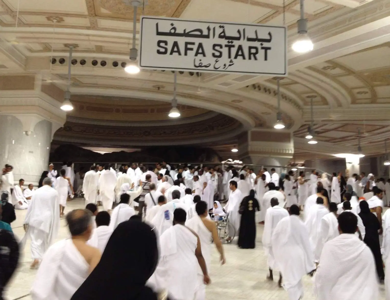 Sayee_To_Go_Safa_start-jpg.webp